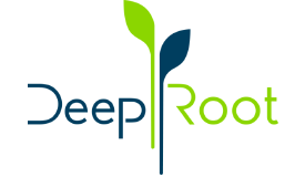 DeepRoot Consulting